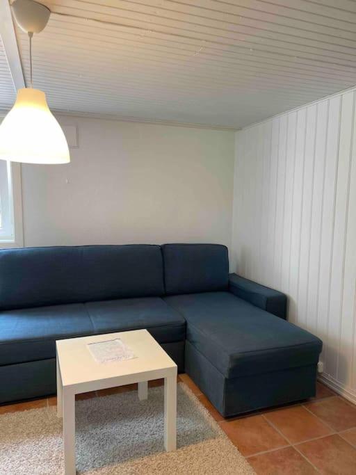 Fin Sentralt Hybel I Drammenアパートメント エクステリア 写真